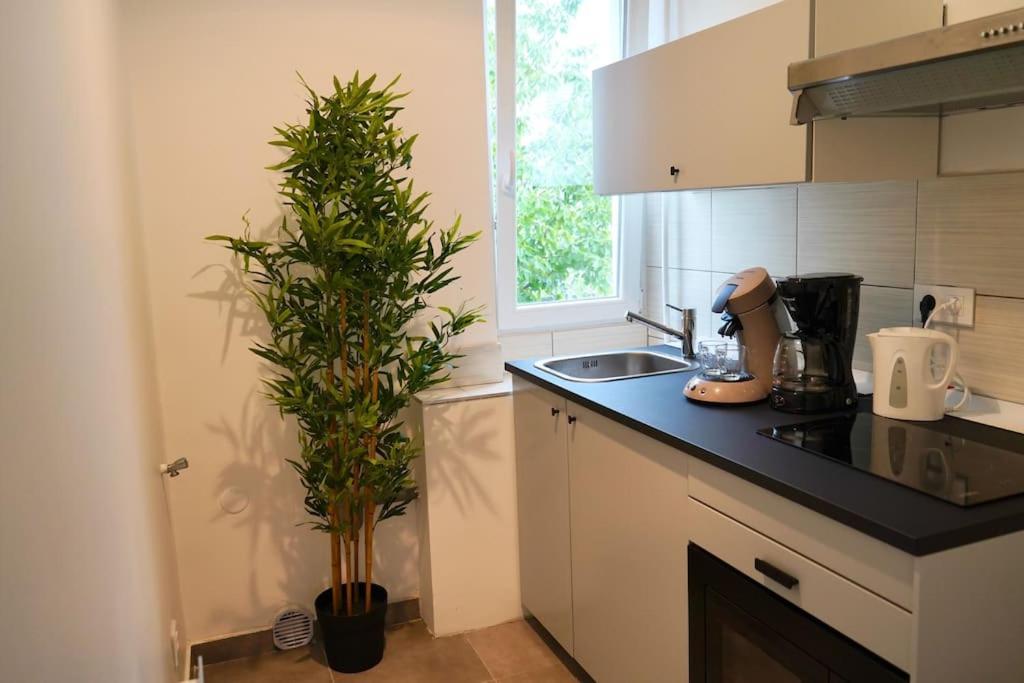 Rm-1 - Appartement F2 Au 1Er Etage Pour 1-3 Pers Mulhouse Exterior photo